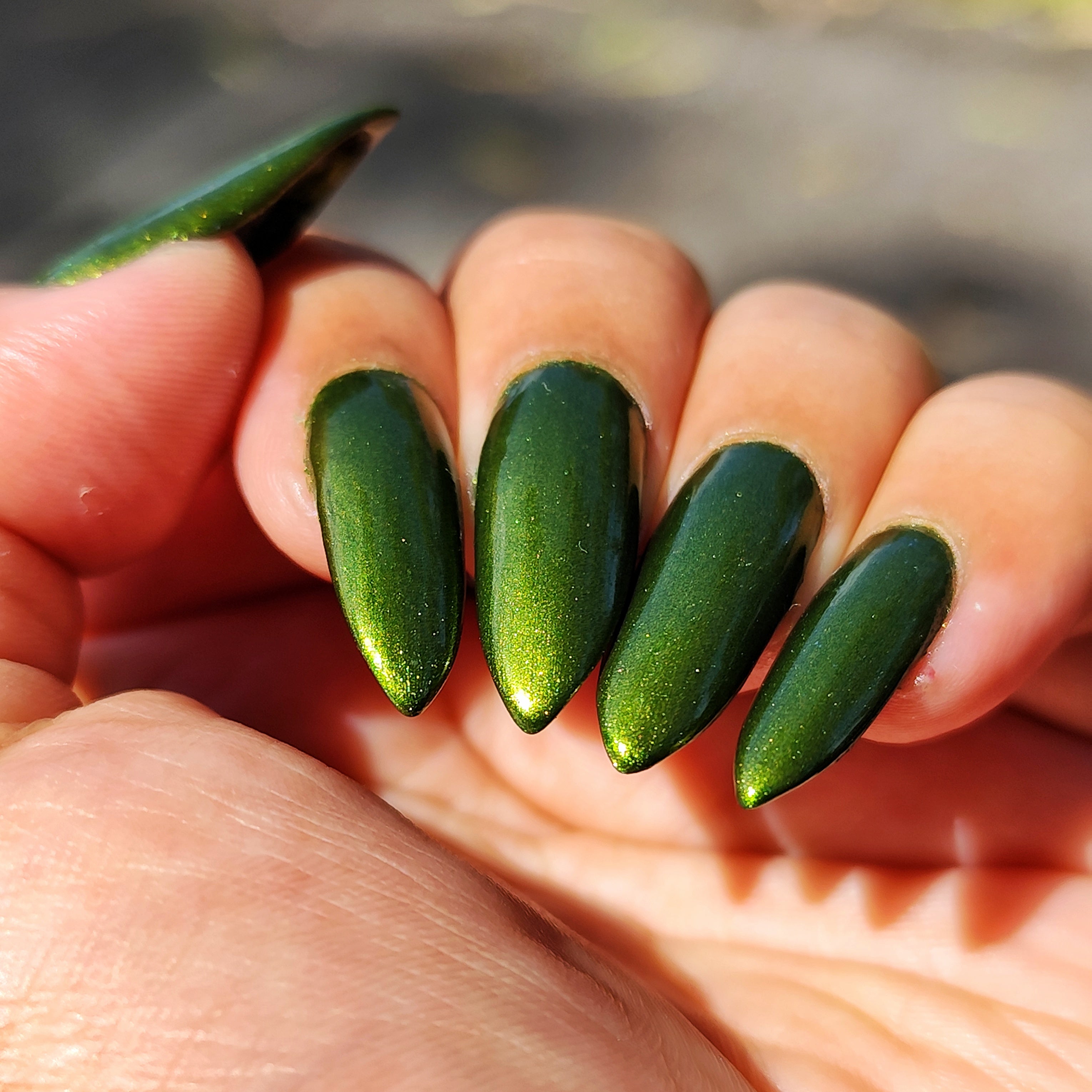 May the Olive Groves Thrive