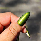 May the Olive Groves Thrive