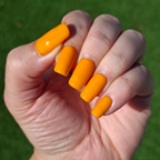 Sunny Side Up