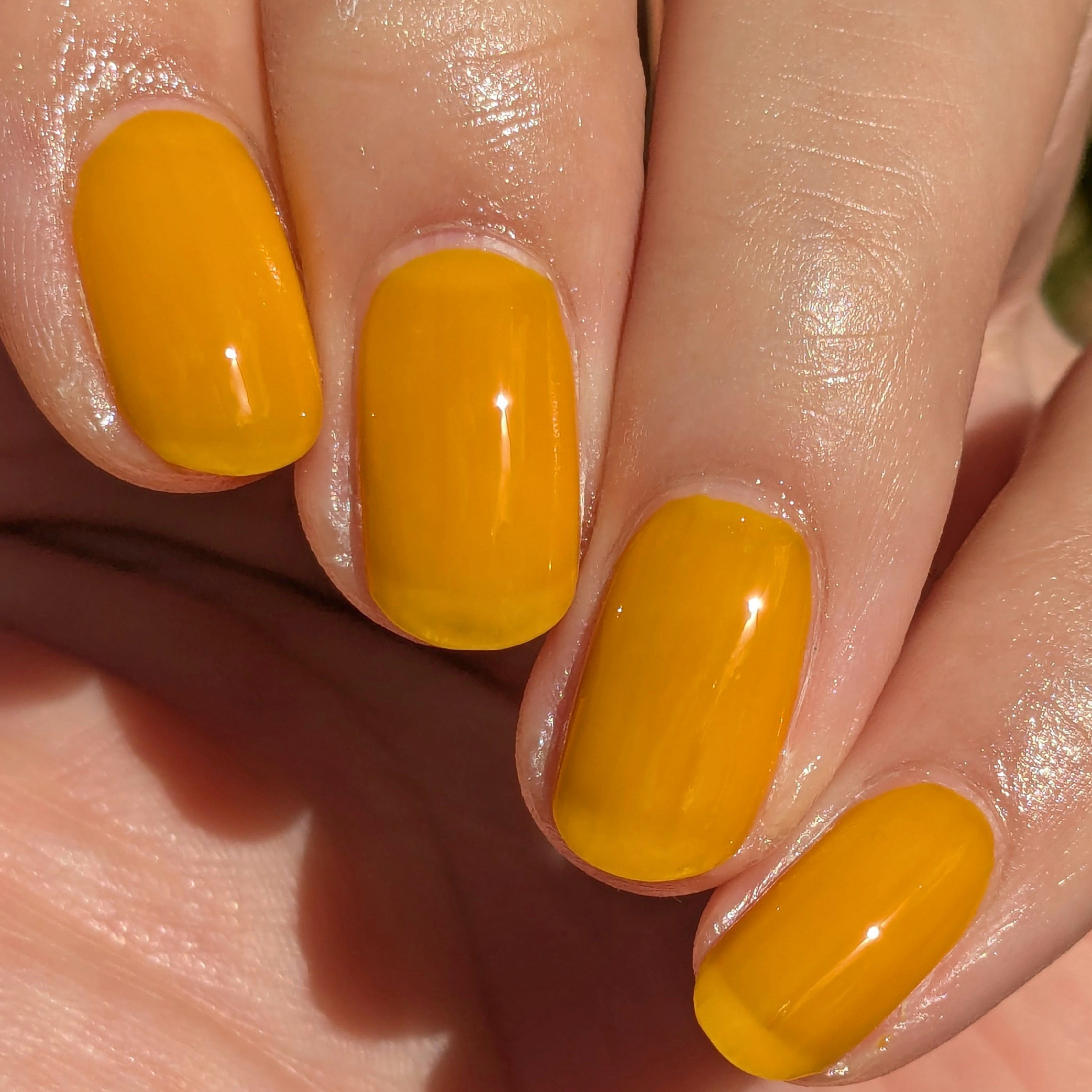 Sunny Side Up