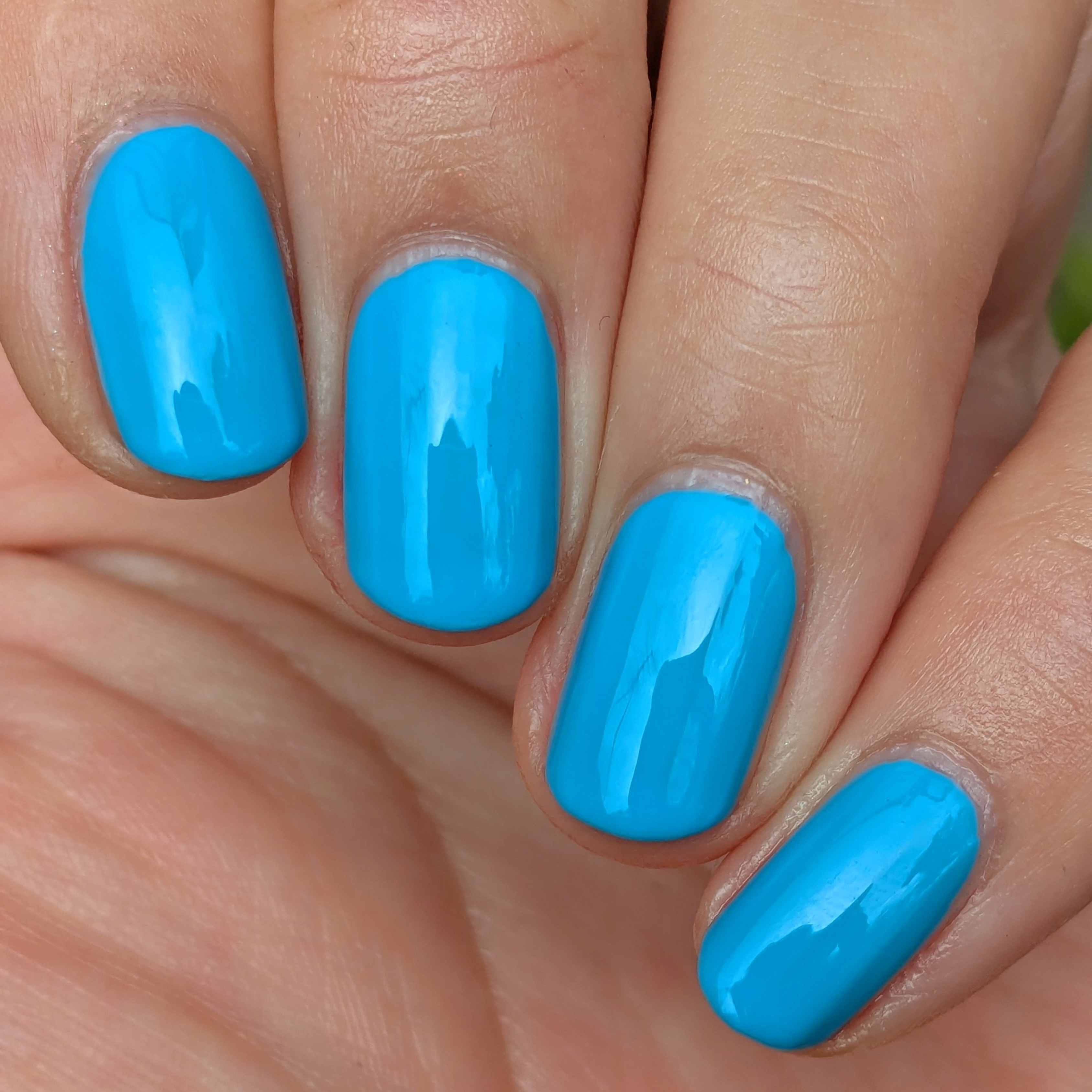 Blooming in Blue