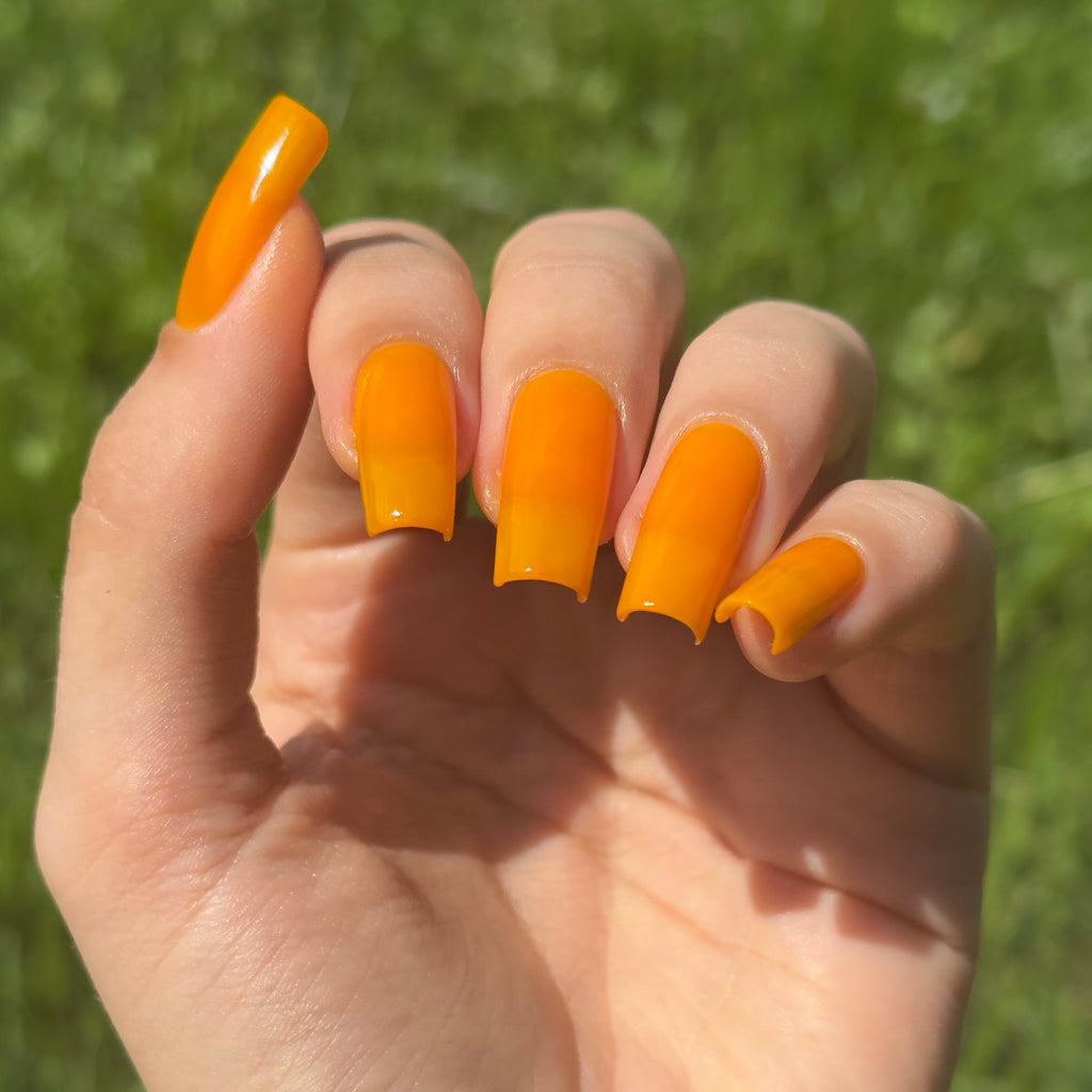 Sunny Side Up