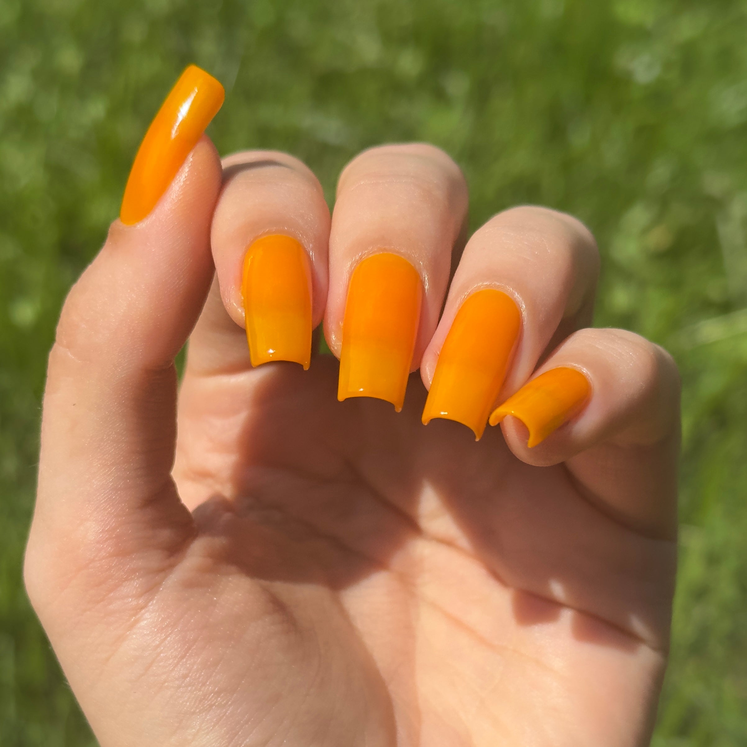 Sunny Side Up