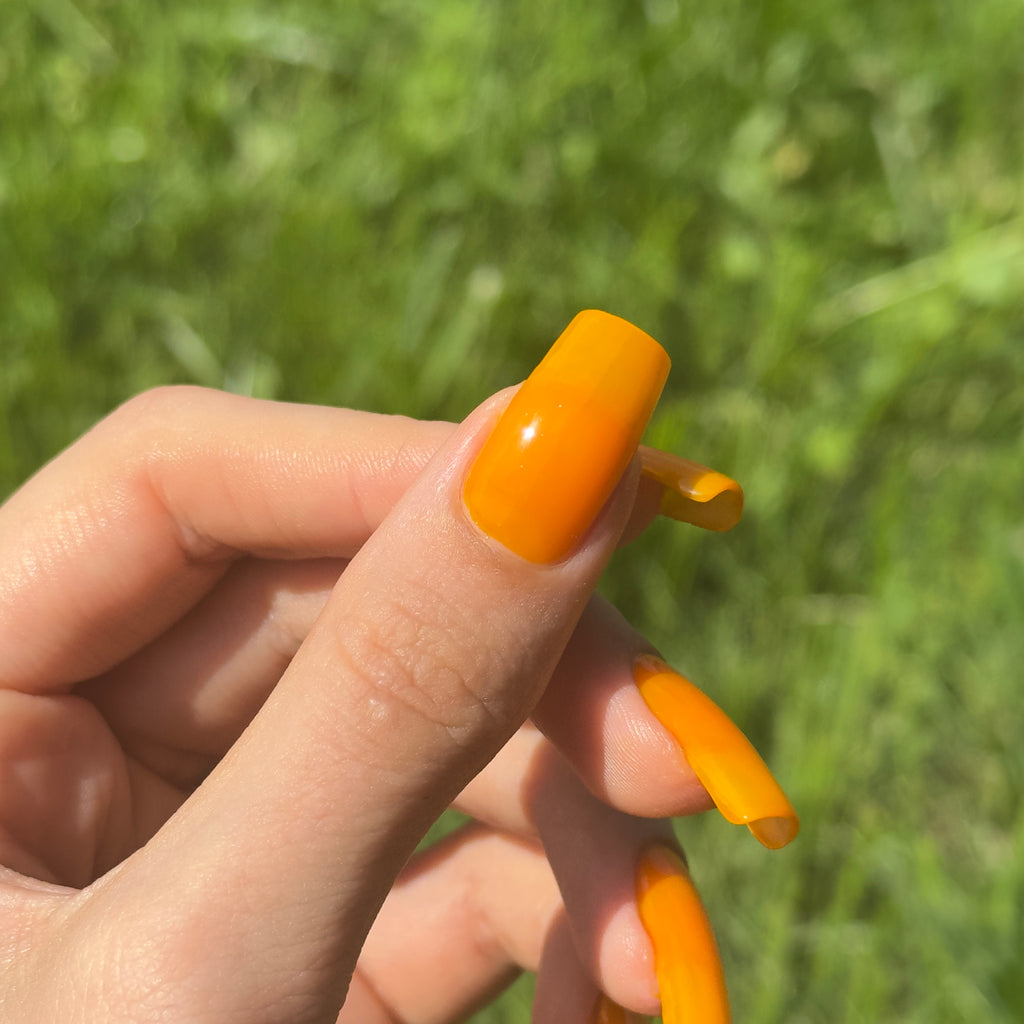 Sunny Side Up